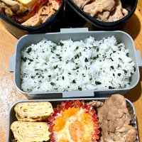 Snapdishの料理写真:弁当|まぁさん