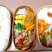 Snapdishの料理写真:マイコプラズマ肺炎明けの弁当🍱|ふみふみさん