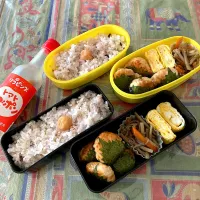 Snapdishの料理写真:つくねのシソ巻き弁当！|Emiさん