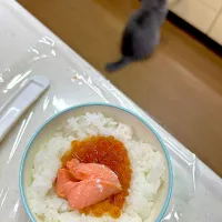 Snapdishの料理写真:鮭といくらのおにぎり|cafe3733さん