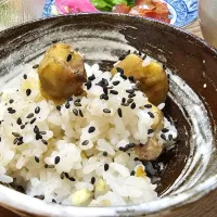 Snapdishの料理写真:栗ご飯|ゆかさん