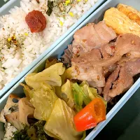 Snapdishの料理写真:お弁当2024.10.17|nyan222さん