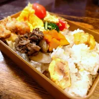 Snapdishの料理写真:栗ご飯弁当(*^^*)| しーPaPaさん