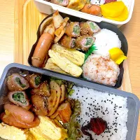 Snapdishの料理写真:親子弁当🍱|しーちゃんさん