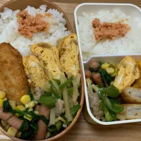 Snapdishの料理写真:お弁当|みみりんさん