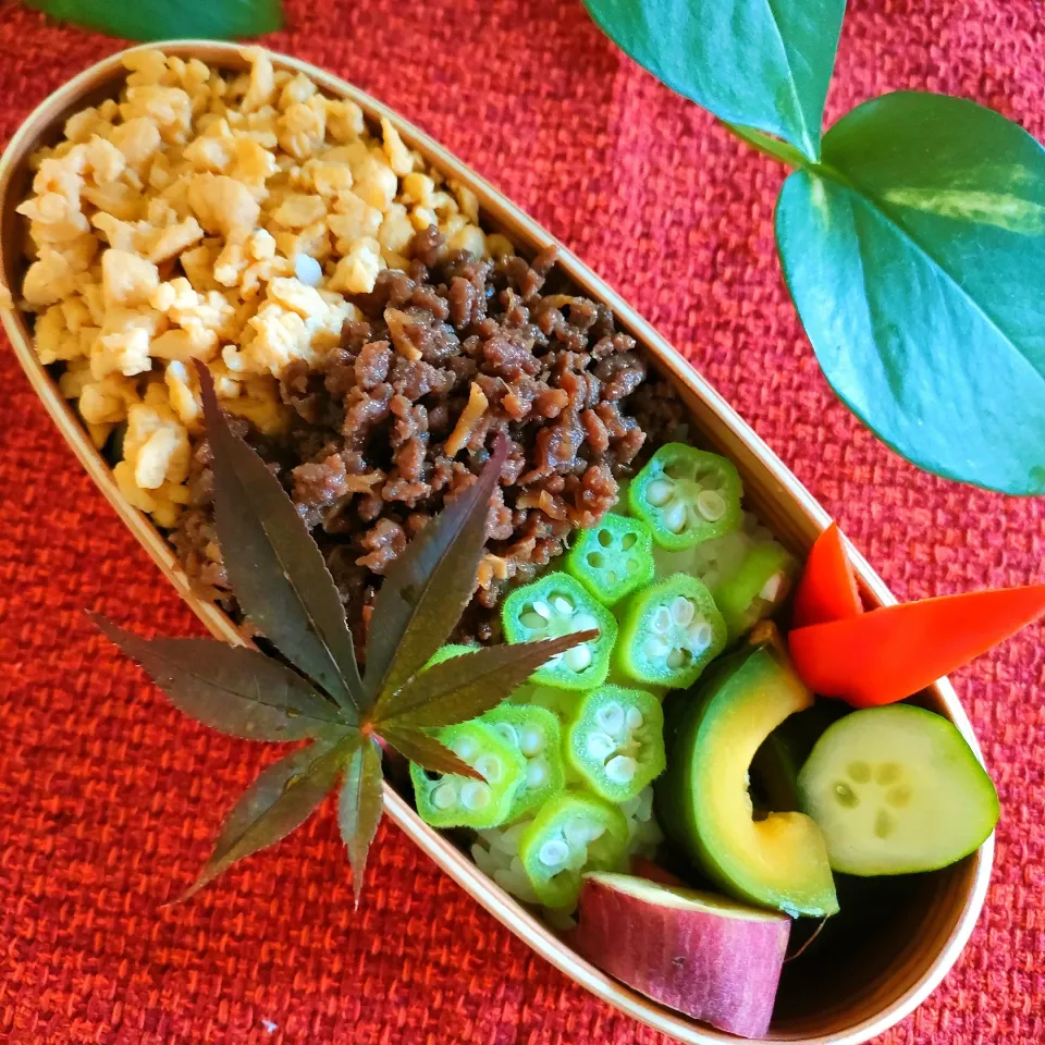 今日のわっぱご飯

三色弁当
　豚肉そぼろ
　いり玉子
　オクラ
美味しくできました✨|ふかふかごはんさん