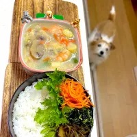 Snapdishの料理写真:スナップディッシュに載せるほどでもない弁当|cafe3733さん