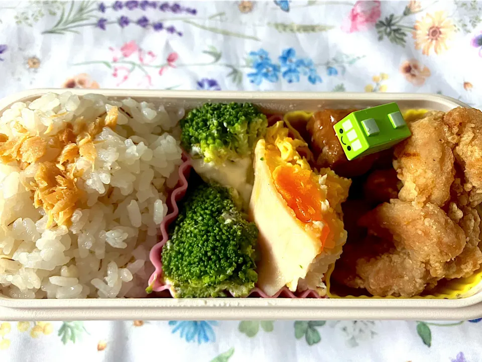 お弁当|くままさん