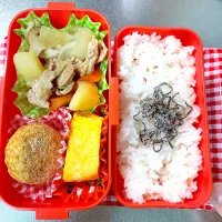 Snapdishの料理写真:肉じゃが弁当|あおのりさん