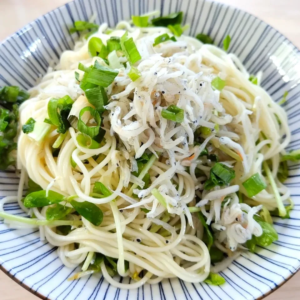 Snapdishの料理写真:2024 0817　しらすとねぎの油そば風そうめん|いもこ。さん