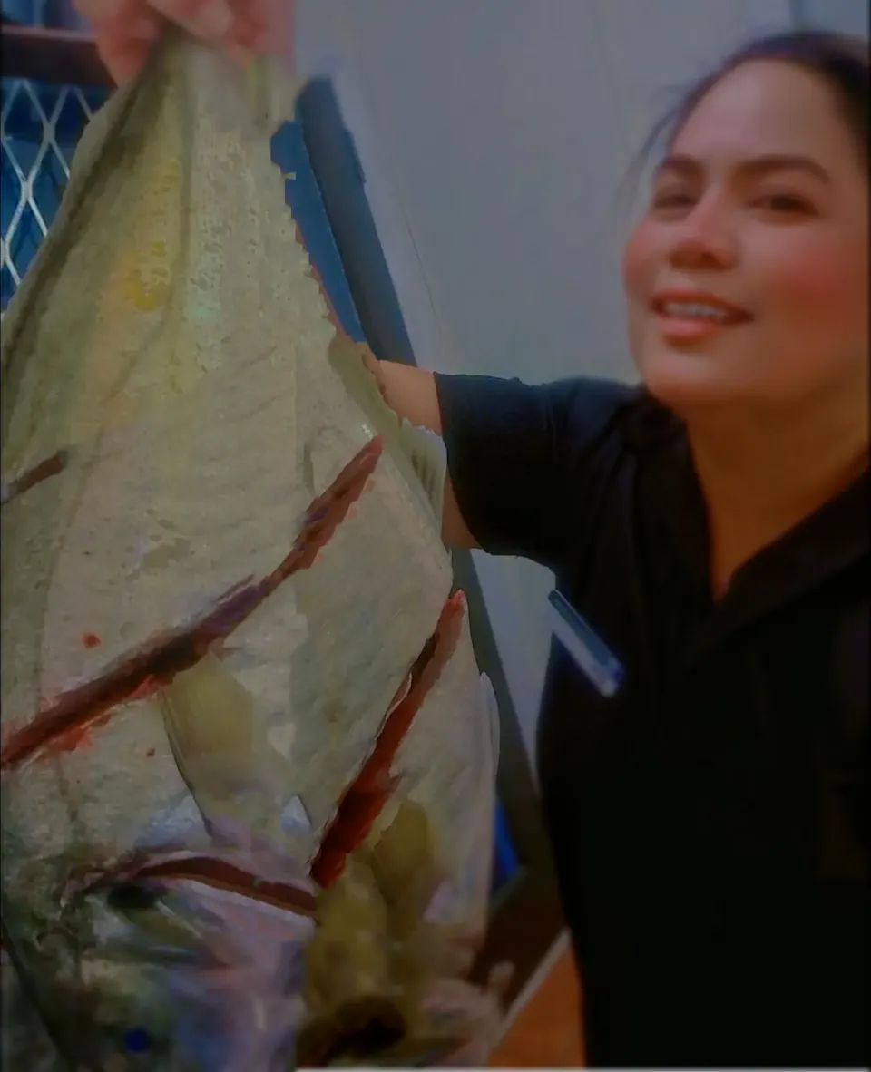 fresh NZ TREVALLY FISH|ジェンルグクッキングさん