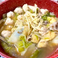 Snapdishの料理写真:とりつくね生姜鍋🍲🫚|ゆんこさん