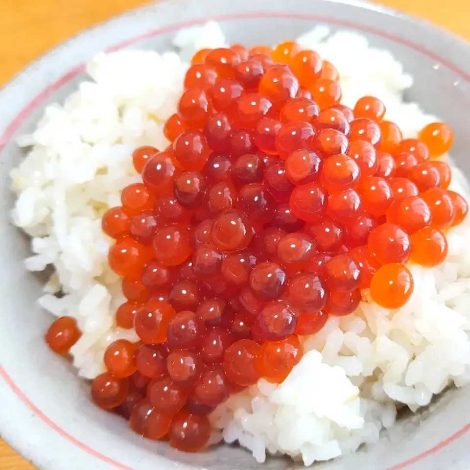 Snapdishの料理写真:自家製いくら醤油漬けごはん🩷|ぽんしきさん