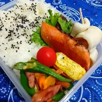 Snapdishの料理写真:おくら炒め鮭弁当|yayoi.Kさん