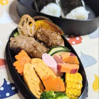 Snapdishの料理写真:自分弁当〜発掘したハンバーグの弁当