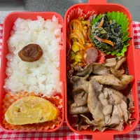 Snapdishの料理写真:塩麹ロース弁当| あおのりさん