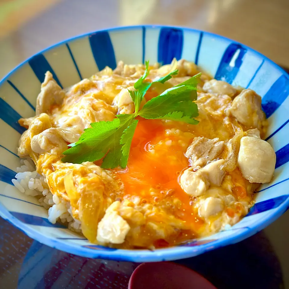 飽きもせず親子丼|にゃあ（芸名）さん