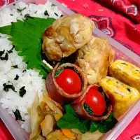 Snapdishの料理写真:きんぴらごぼう鶏バーグ弁当|yayoi.Kさん