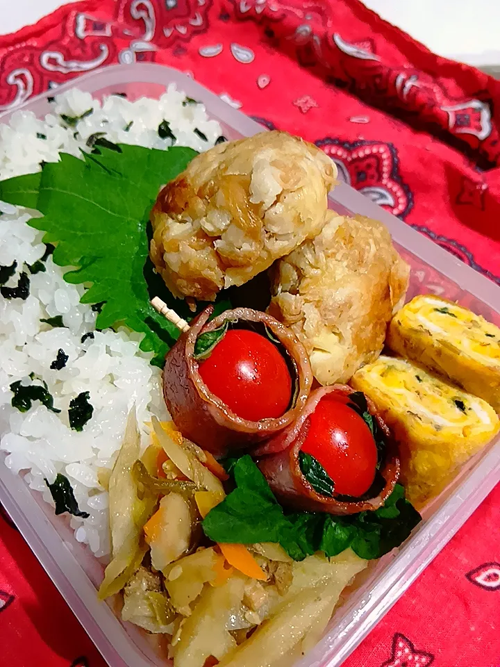 きんぴらごぼう鶏バーグ弁当|yayoi.Kさん