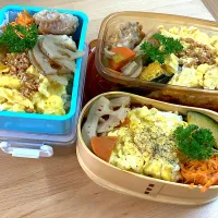 Snapdishの料理写真:かくりよオムライス弁当| 唯さん