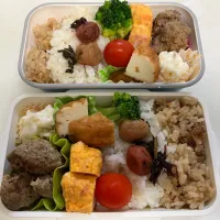 Snapdishの料理写真:妻と僕のお弁当|もとくんさん