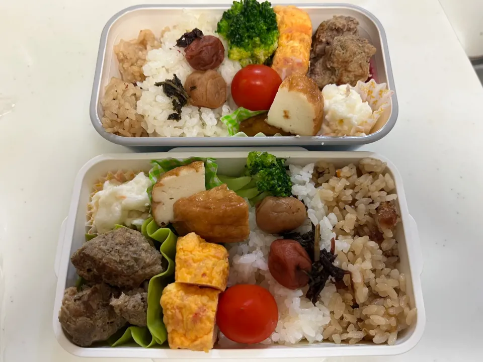 妻と僕のお弁当|もとくんさん