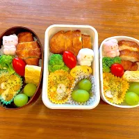 Snapdishの料理写真:甘辛チキン弁当|みたらしさん