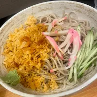 Snapdishの料理写真:二枚冷やしたぬきそば！|Tomyさん