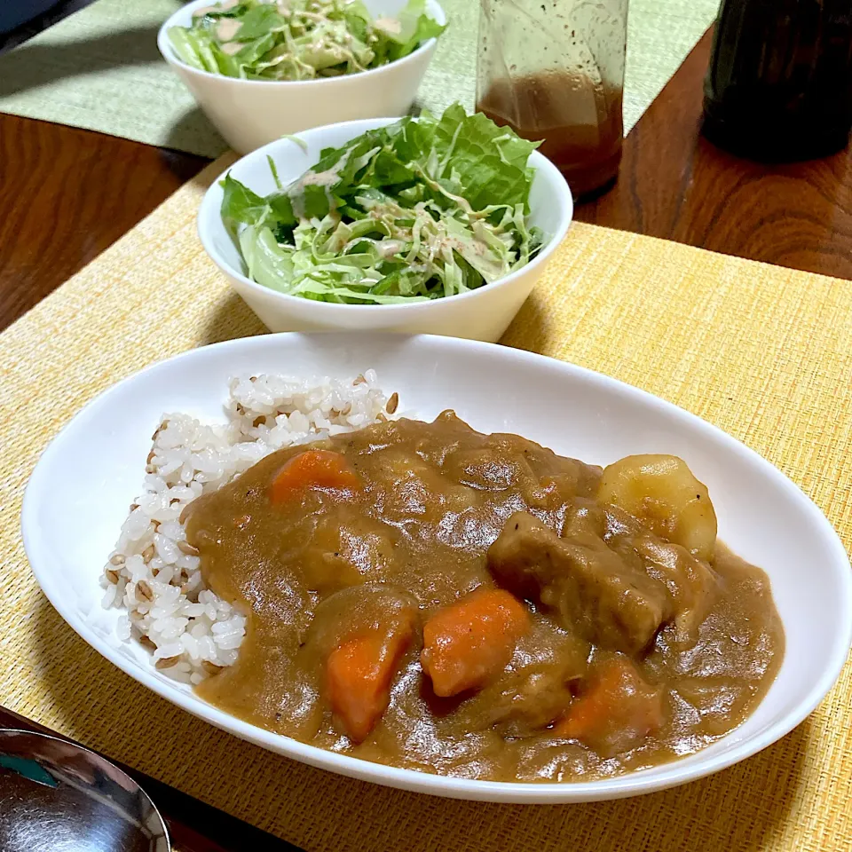 カレーライス🍛|akkoさん