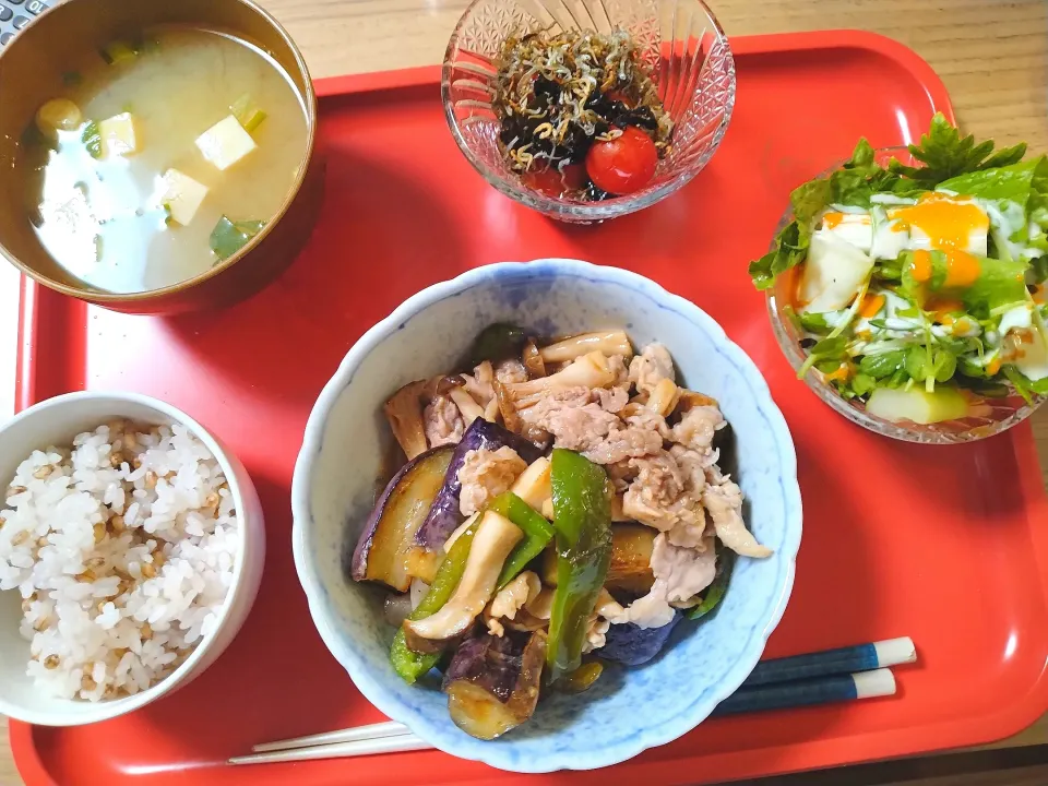 茄子と豚バラのポン酢炒め　ワカメとトマトの甘酢カリカリじゃこ　セロリサラダ|さゆさん