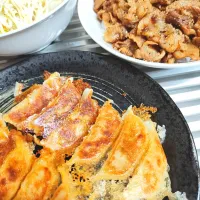 Snapdishの料理写真:ペッパーポークご飯と生姜餃子とキャベツ千切り|時雨さん