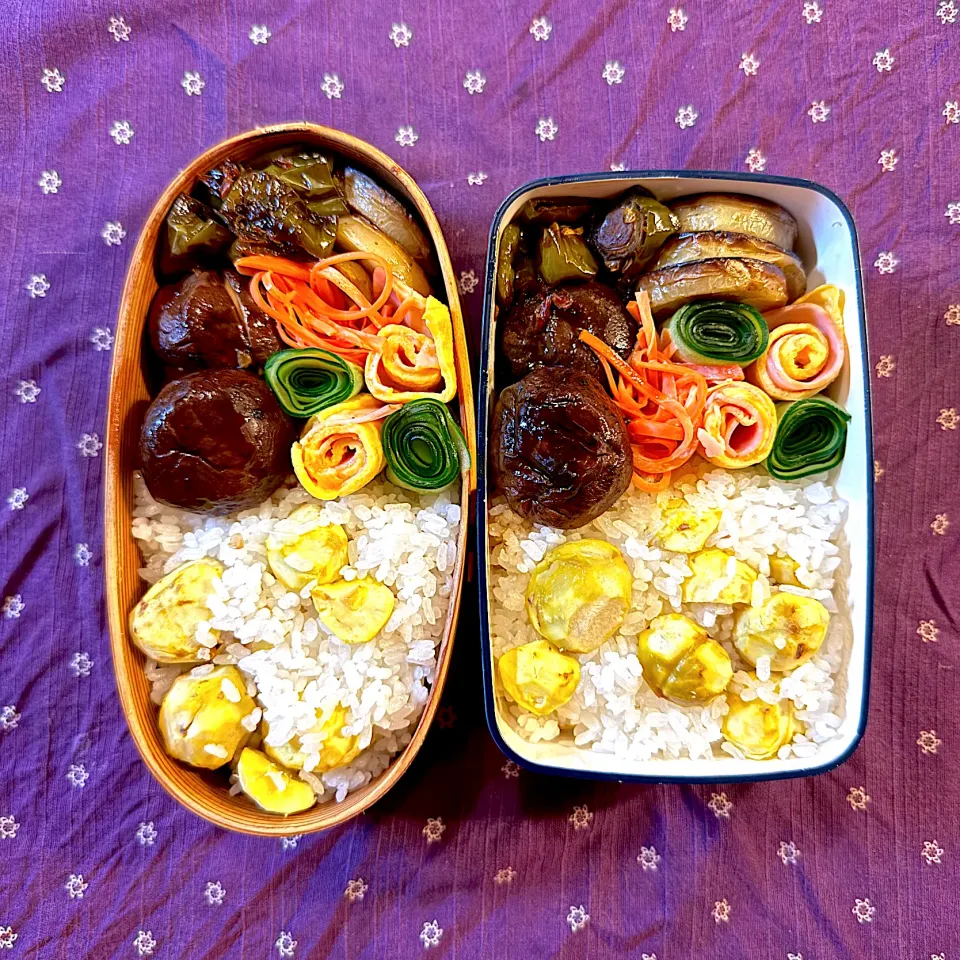 Snapdishの料理写真:栗ご飯弁当|たつや先生さん