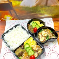 Snapdishの料理写真:豚丼具の弁当|アッキーさん