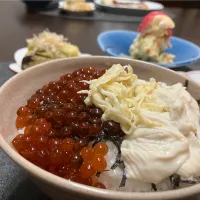 Snapdishの料理写真:10/23 イクラ&生湯葉丼|あーるさん