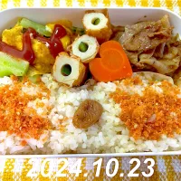 Snapdishの料理写真:男子高校生お弁当|harutomomamaさん