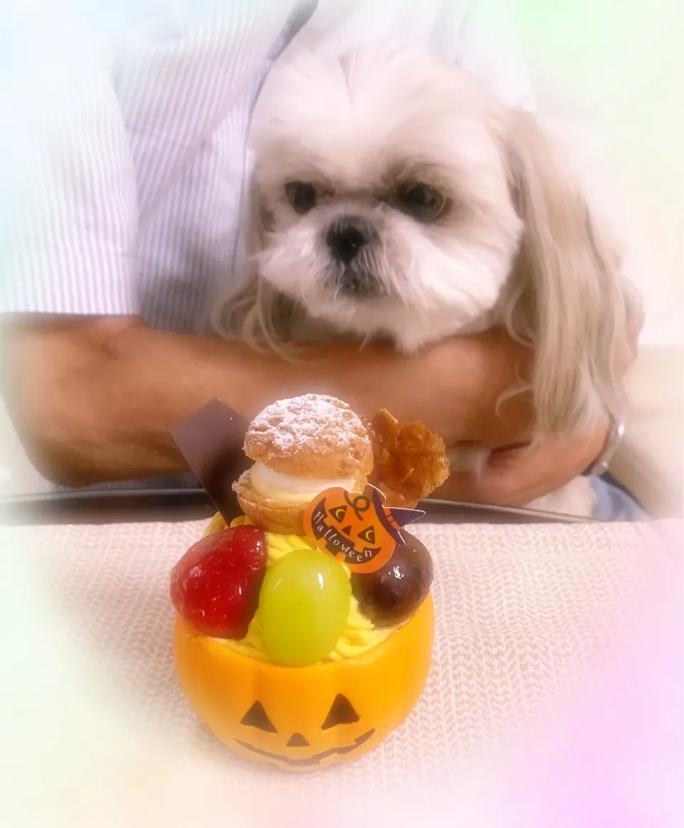 ハロウィンケーキ🎃|プクママさん