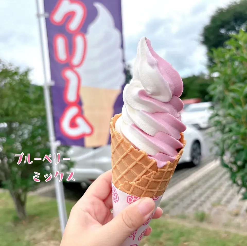 ブルーベリーミックス🍦✨|nacchan♪さん