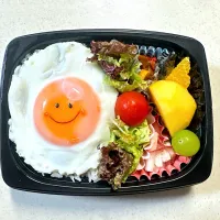 Snapdishの料理写真:ロコモコ弁当|みもざさん