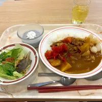 Snapdishの料理写真:寮の晩御飯😋ポークカレー🍛|すかラインさん