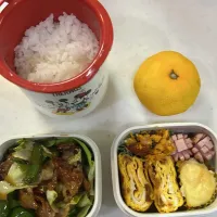 Snapdishの料理写真:10月24日のお弁当🍱|momotoemiさん