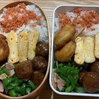 Snapdishの料理写真:お弁当|みみりんさん