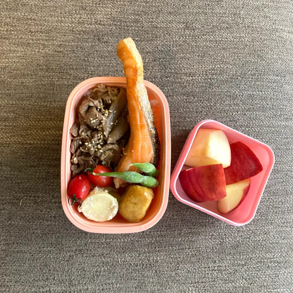 Snapdishの料理写真:今日のお弁当|leilaniさん