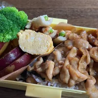 Snapdishの料理写真:生姜焼きのり弁当|あんこさん