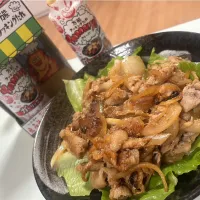 Snapdishの料理写真:豚肉と玉ねぎ炒め|ぺんさん