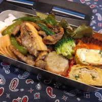 Snapdishの料理写真:チンジャオロース弁当　251|キャンディさん