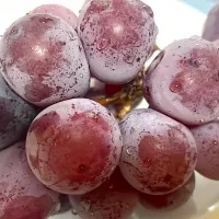 Snapdishの料理写真:🍇高級ぶどう|Rさん