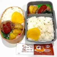 Snapdishの料理写真:娘と息子のお弁当🍱|megさん