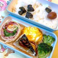 Snapdishの料理写真:ハイローラお弁当|えつこさん