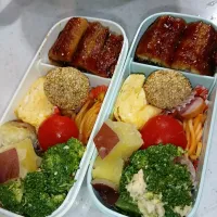 Snapdishの料理写真:うなぎ弁当| s-iさん