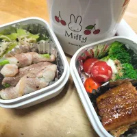 Snapdishの料理写真:鰻の蒲焼き、ブロッコリー&ミニトマト、アスパラの豚バラ巻き、しらすと福耳唐辛子の炒め物|清水愛情弁当さん